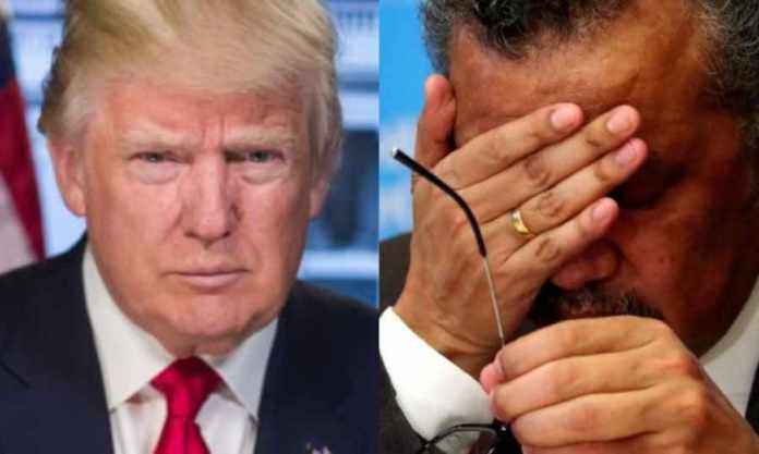 Trump acusó a la Organización Mundial de la Salud de ayudar a ...