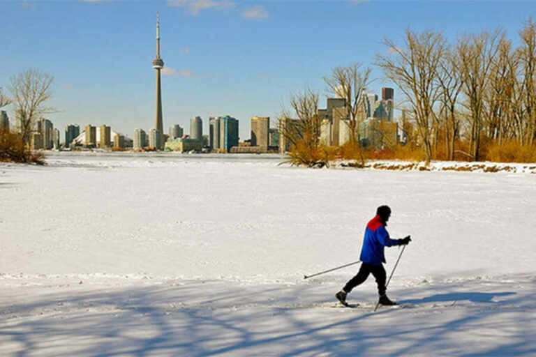 Los mejores parques para visitar en invierno en Toronto | QPASA