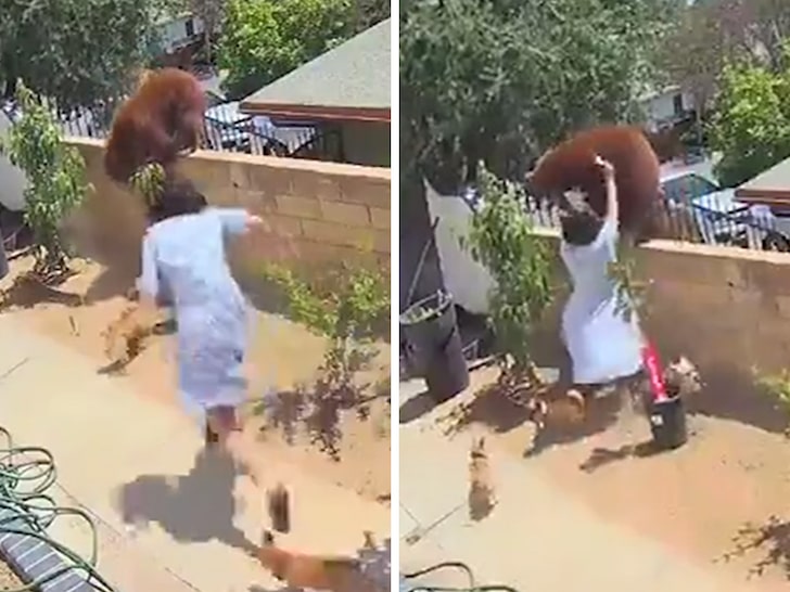 Es viral el video en el que una joven de 17 años arriesga su vida al enfrentarse con un enorme oso pardo para proteger a sus perros que se encontraban en el patio trasero.