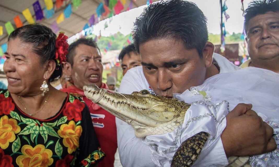 Alcalde se casa con cocodrilo en México