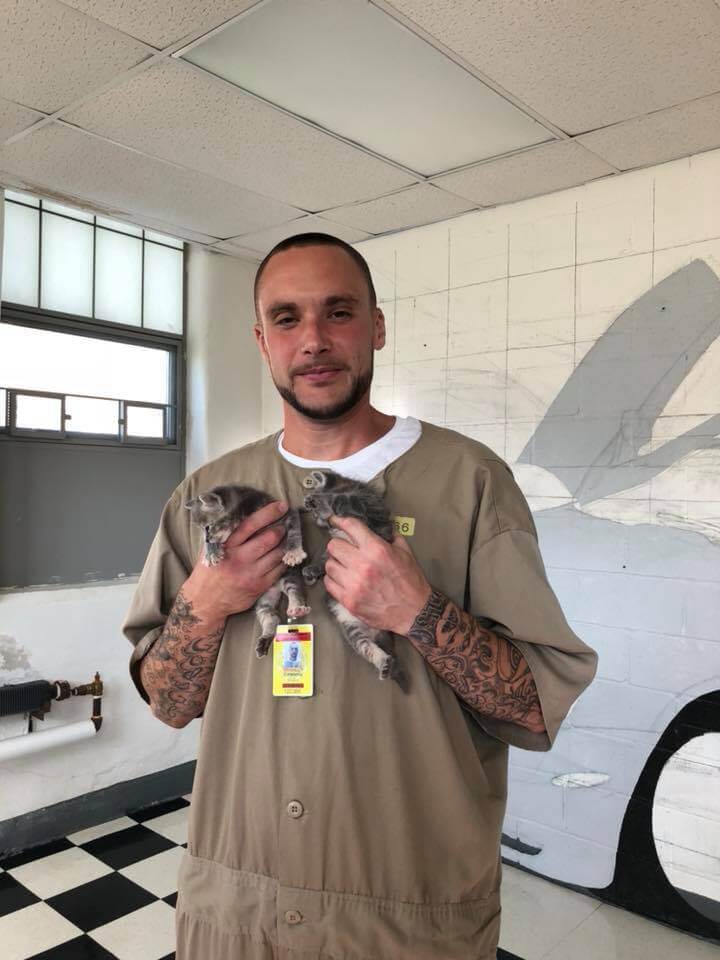 cárcel regala gatos adoptados a sus presos