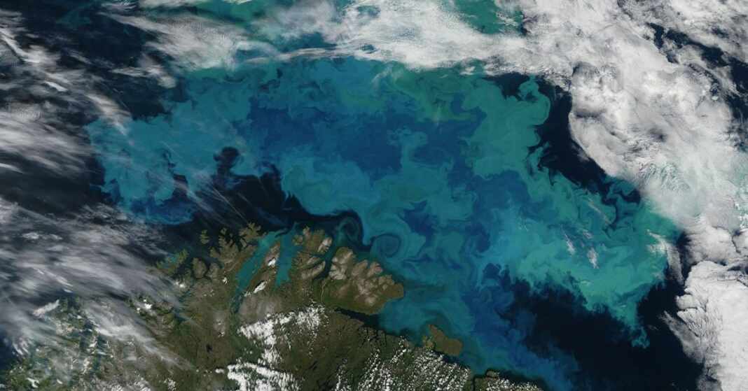 océano cambio color