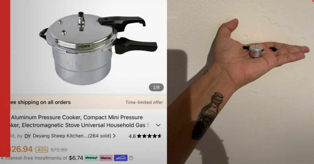 mujer recibió olla presión miniatura despues de comprarla por temu