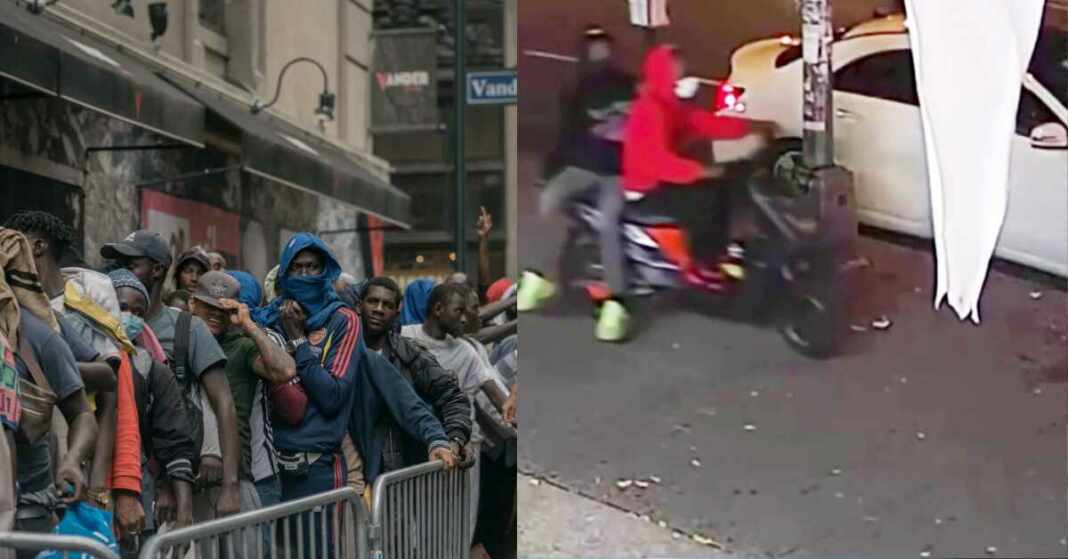 tren de aragua estados unidos, robos nueva york, pandilla inmigrantes indocumentados estados unidos, pandillas nueva york y la florida