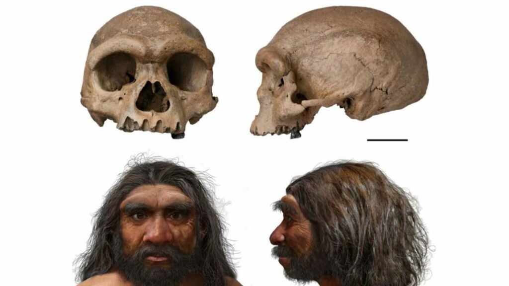 cráneo hombre dragón nueva especie humana homo longi