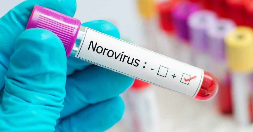 alerta canadá aumento casos norovirus