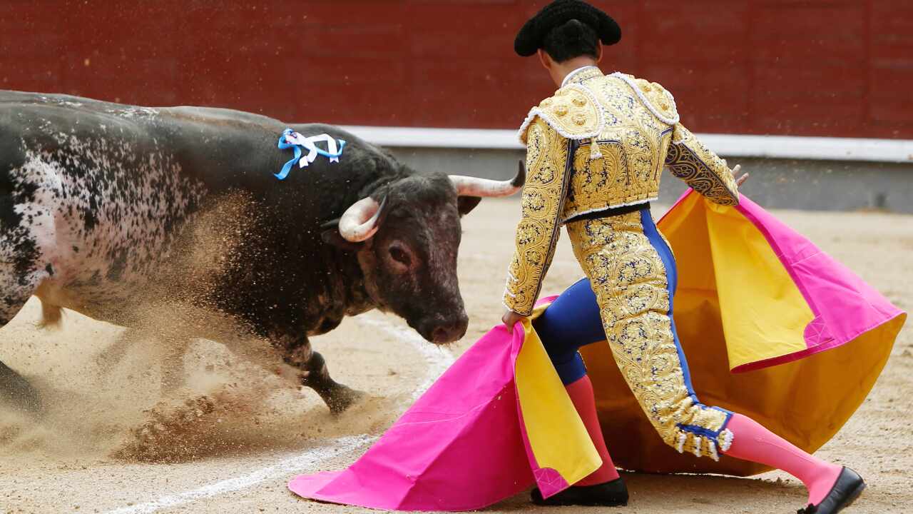 Es un hecho, en Colombia quedan prohibida las corridas de toros | QPASA