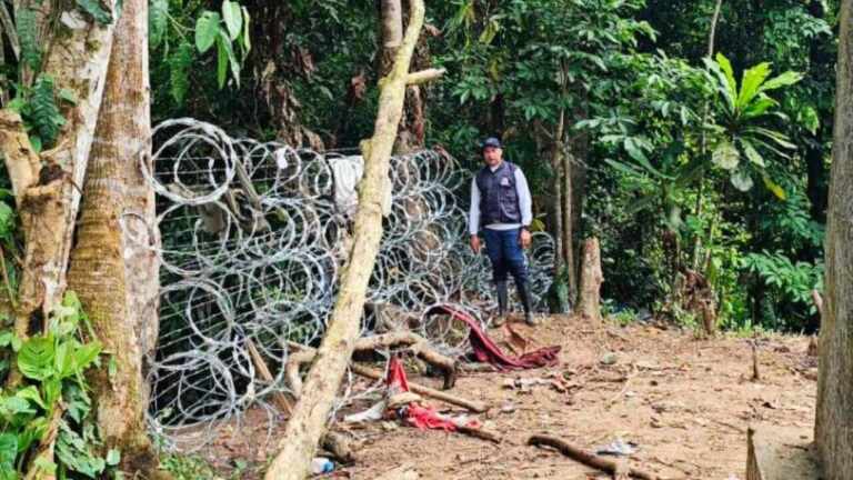 Al estilo Trump: El gobierno panameño empezó a cerrar la frontera con Colombia con alambres de púas en la selva del Darién