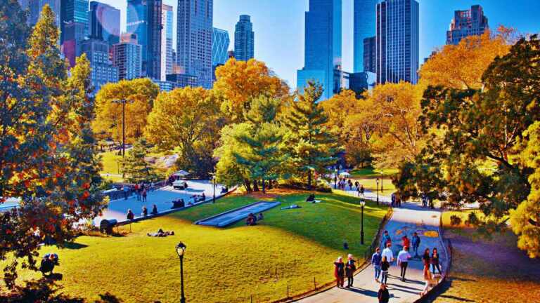 Nueva York Ofrece Hasta $100,000 a Emprendedores: Así Puedes Calificar