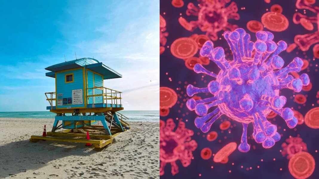 bacteria come carne