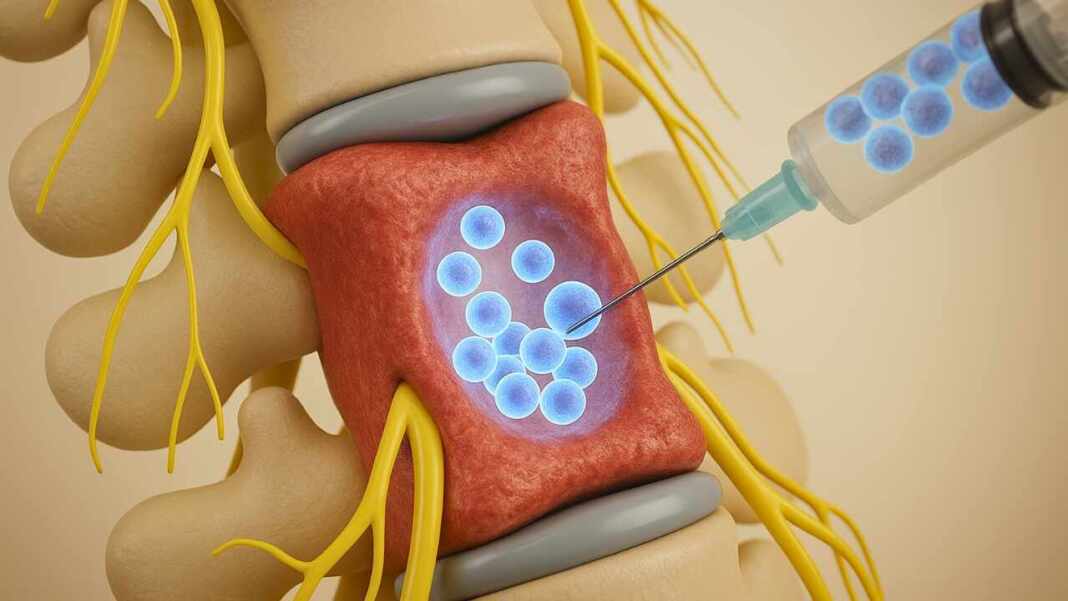 avances científicos en Japón