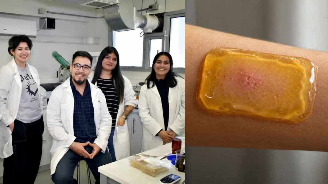 Científicos chilenos crean un parche a base de miel de ulmo para ayudar a sanar heridas.