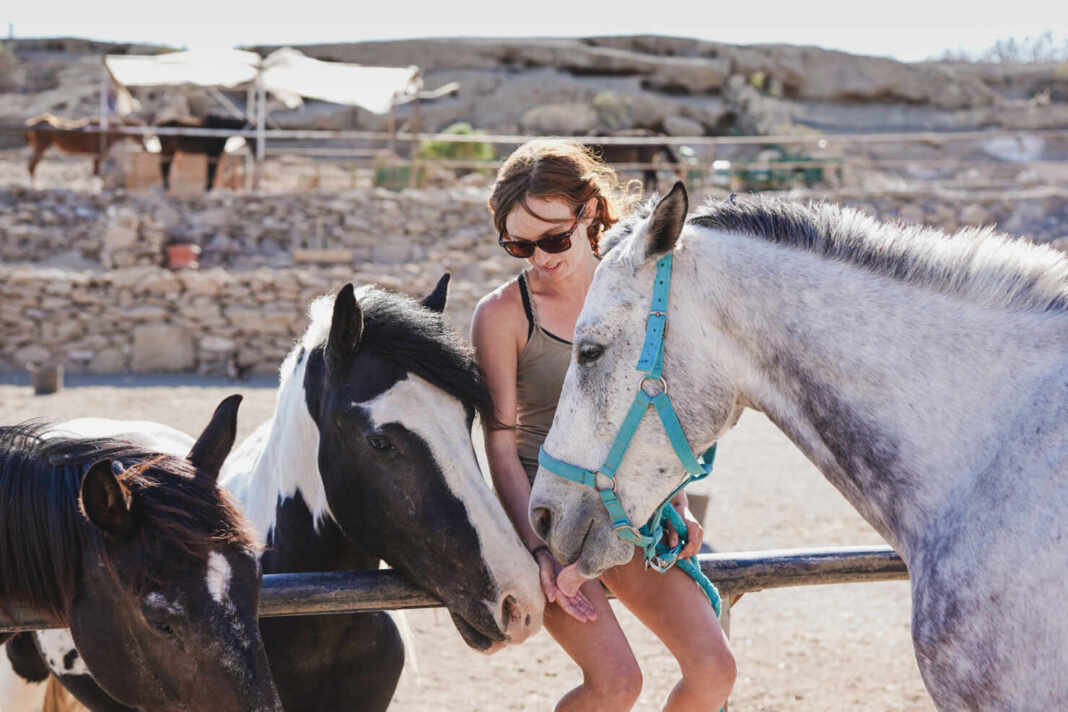 Voluntaria cuida caballos rescatados en un santuario de animales