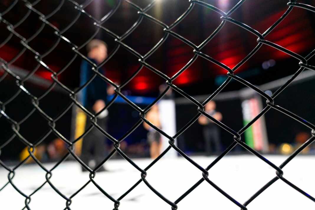 Reja de una jaula de artes marciales mixtas antes de una velada como UFC 331