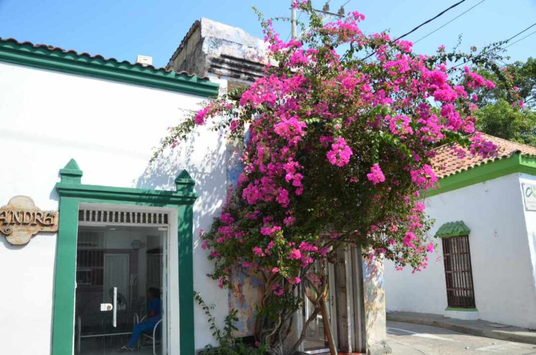 Calle con flores en Cartagena, Colombia