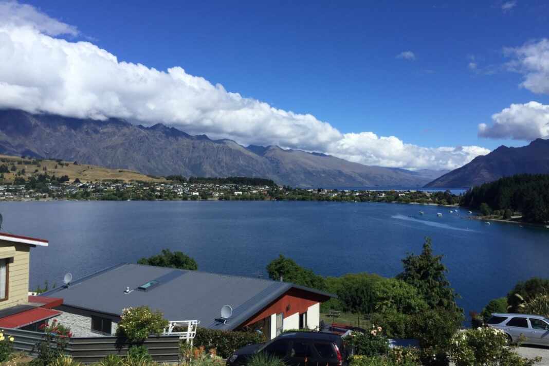 Perro en una playa de verano, un plan posible para quienes van a cuidar casas en Nueva Zelanda