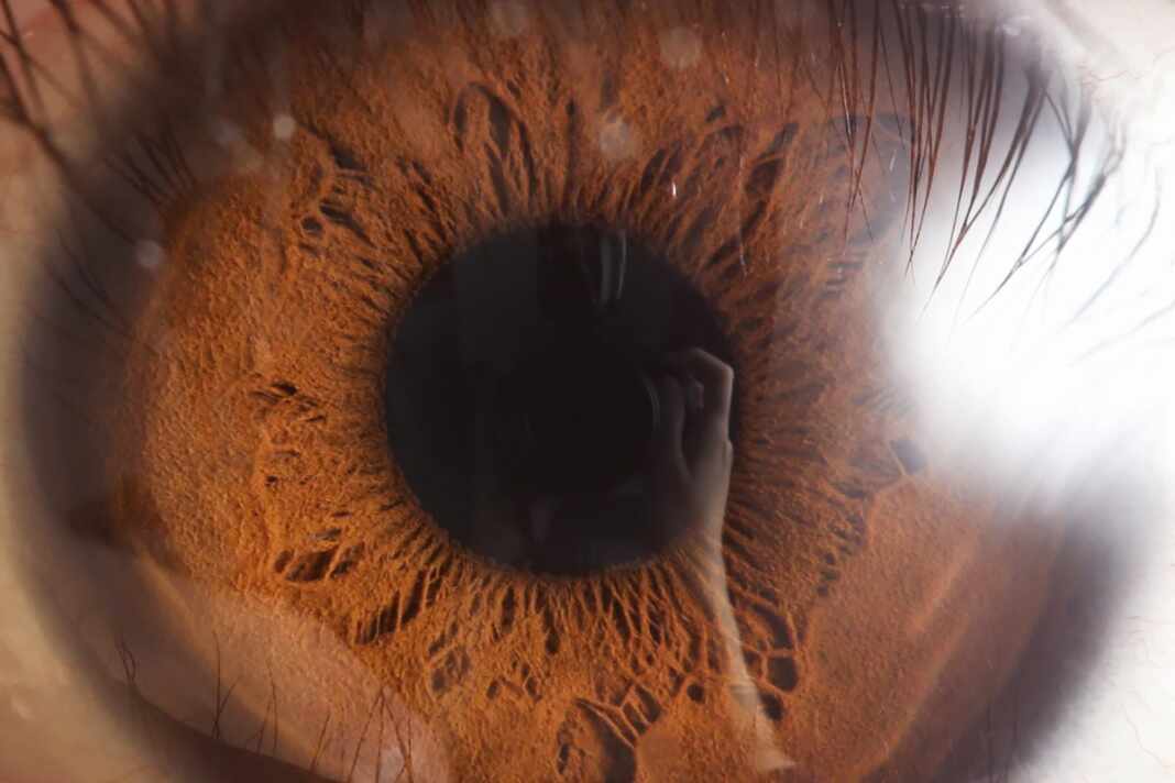 Ojo humano en primer plano, imagen ilustrativa del caso del diente en el ojo de un joven en India