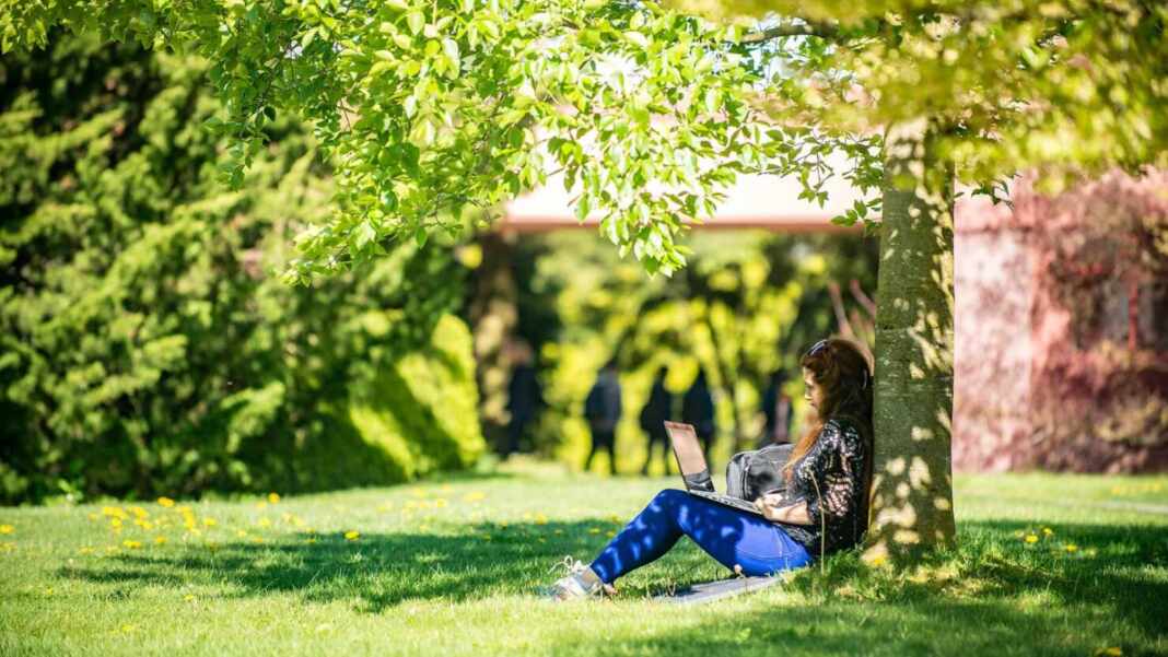 Estudiante universitario con portátil, ilustración de Google AI Plus gratis
